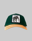 Cappello Canvas Extra Large Green
