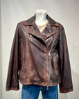 DW5-CYGNI Biker Pelle Dark Brown Woman