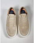 US6-3612 PHOENIX Sneakers Suede Tabacco Man