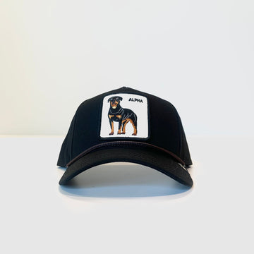 Cappello Canvas The Alpha Dog Black