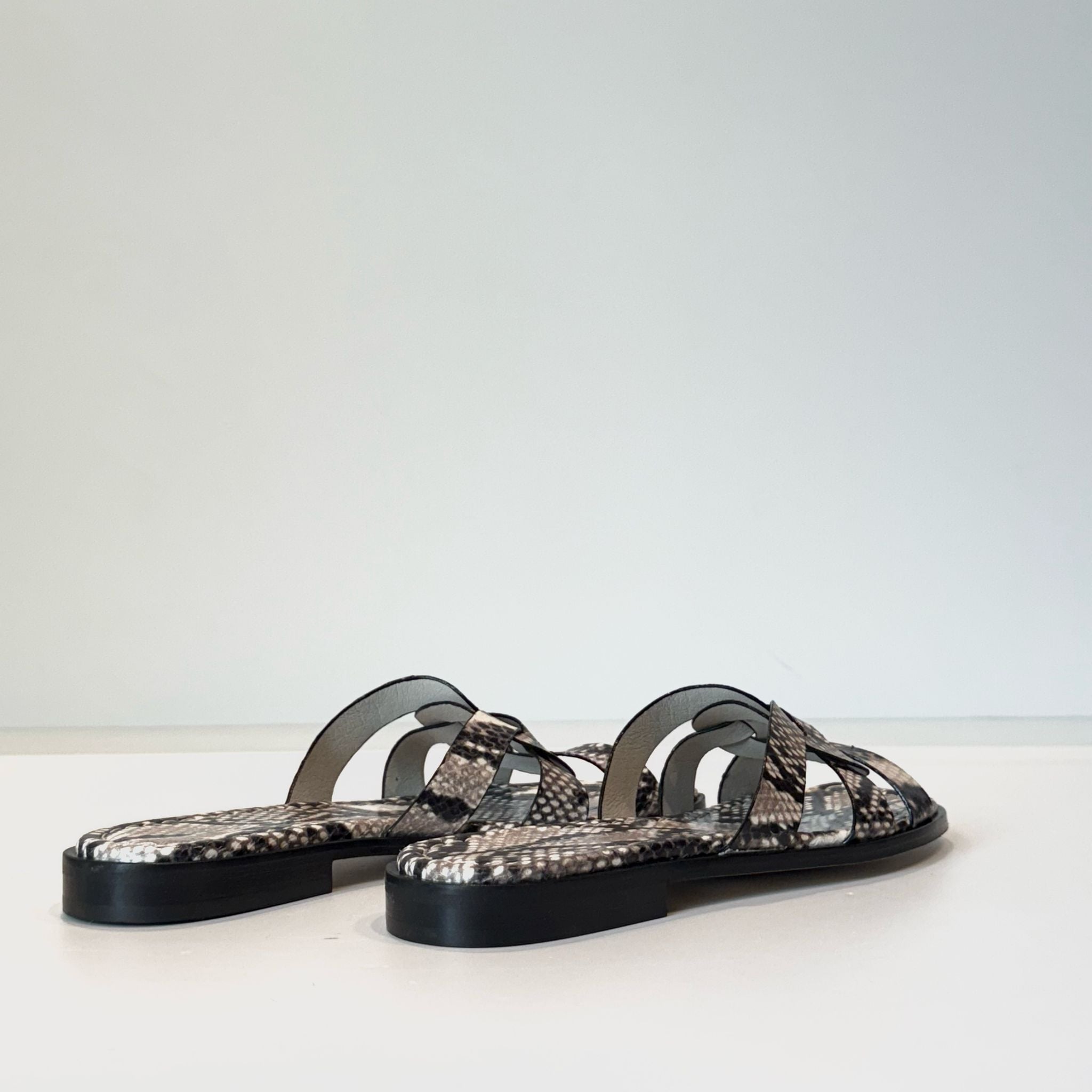 S5-17026 Ciabattina Roccia