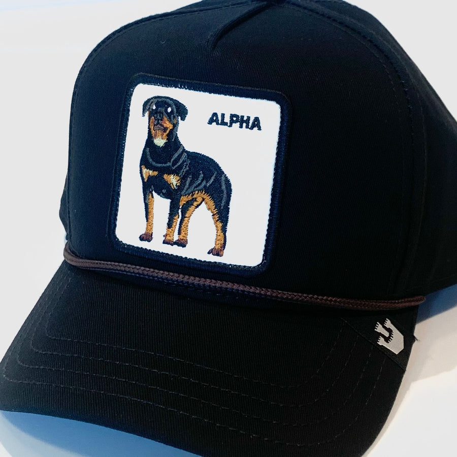 Cappello Canvas The Alpha Dog Black