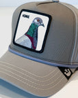 Cappello Canvas The Pigeon Grey