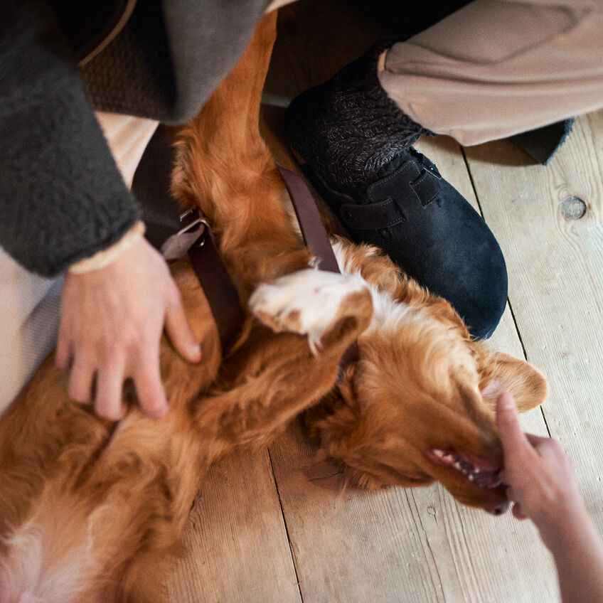 0259881 259883 Boston Shearling Black