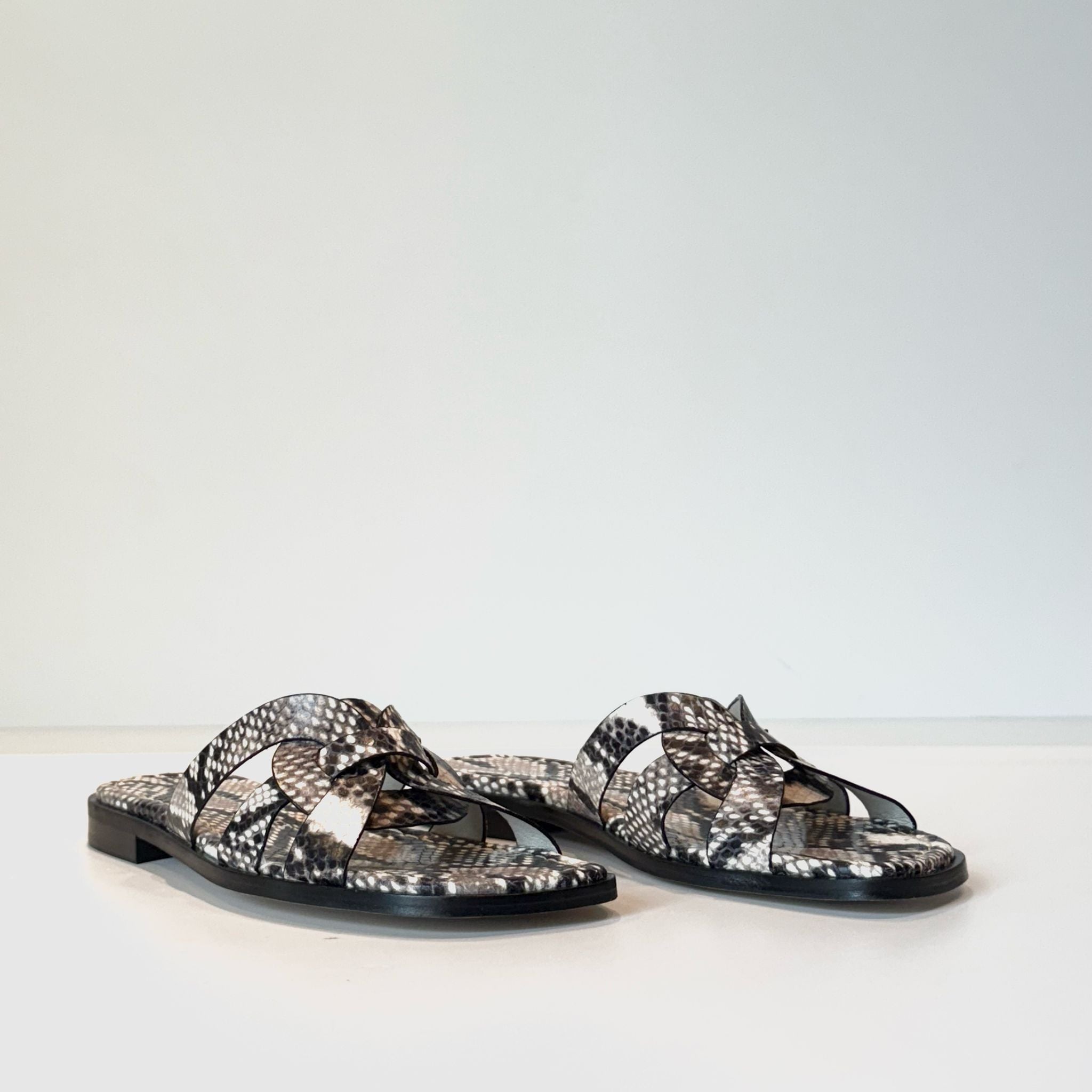 S5-17026 Ciabattina Roccia