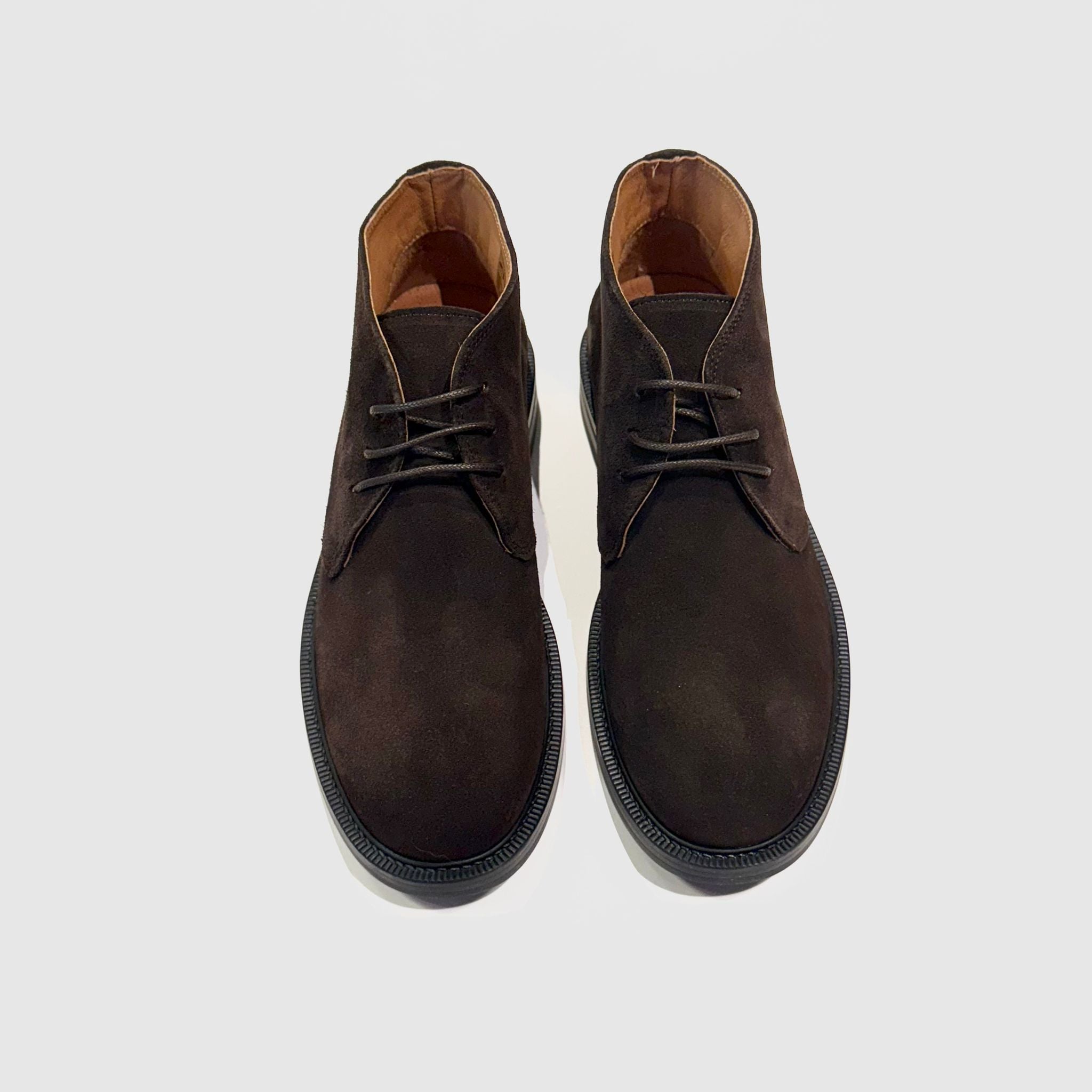 W5-073 Polacco Camoscio Testa di Moro 520 Man