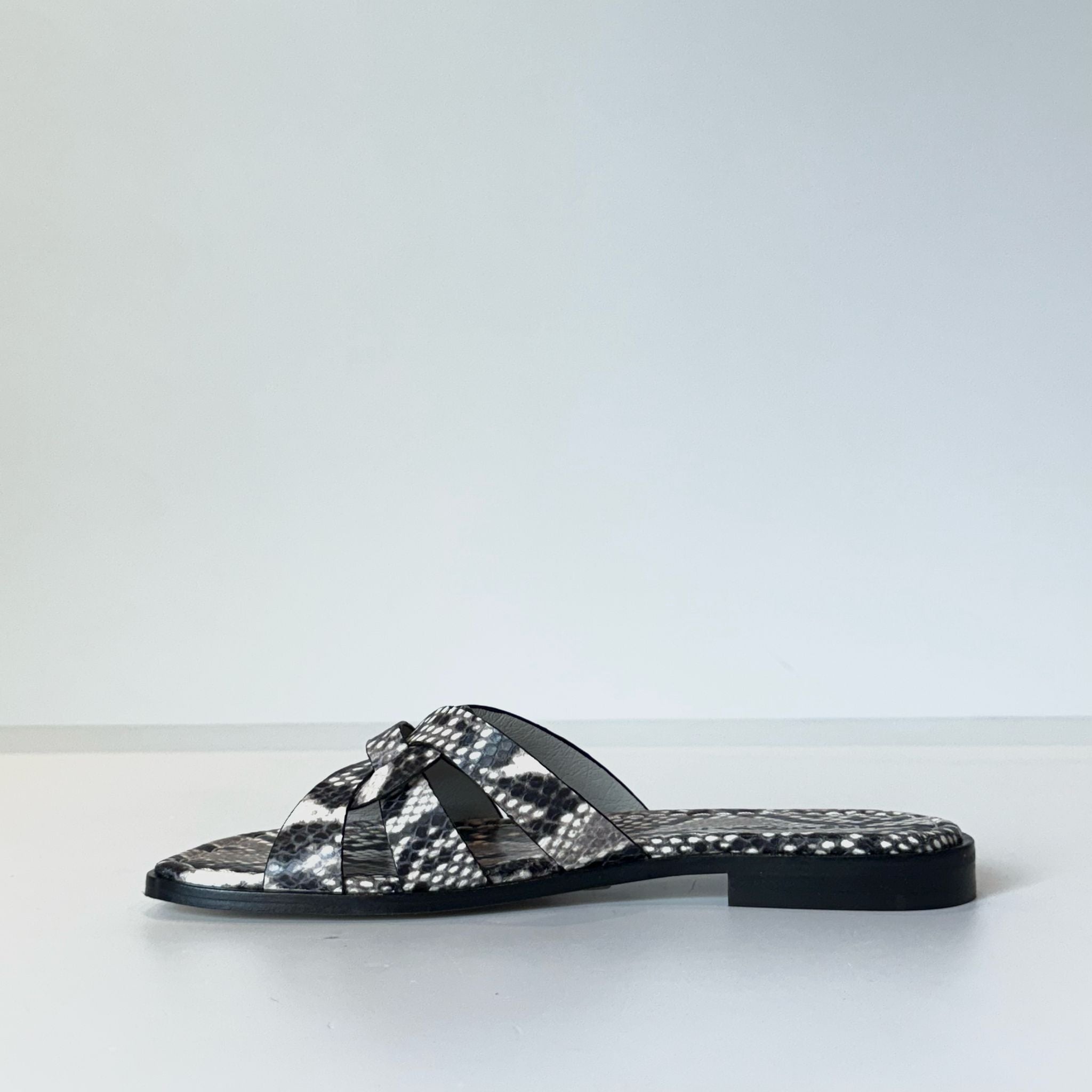 S5-17026 Ciabattina Roccia