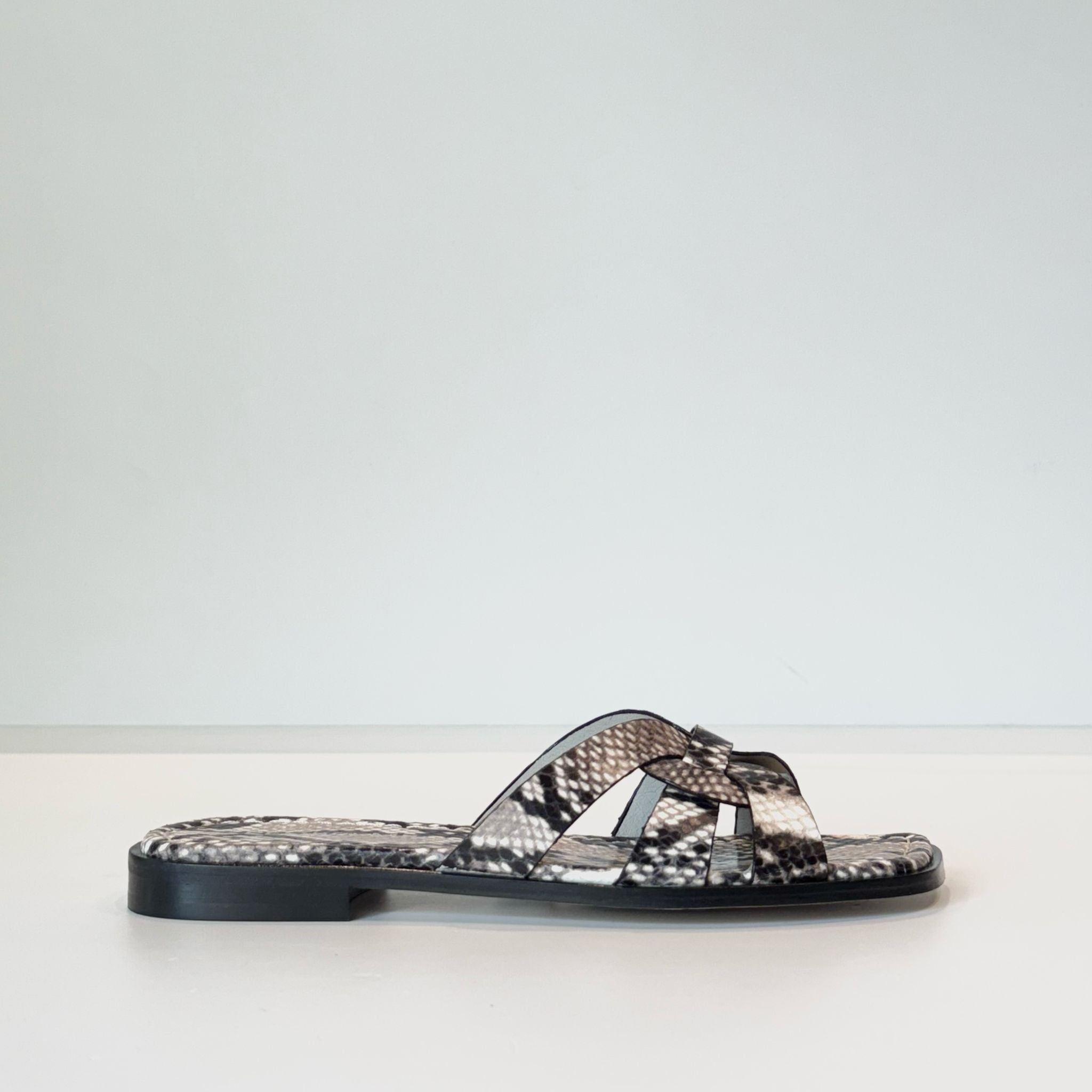 S5-17026 Ciabattina Roccia