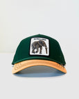 Cappello Canvas Extra Large Green