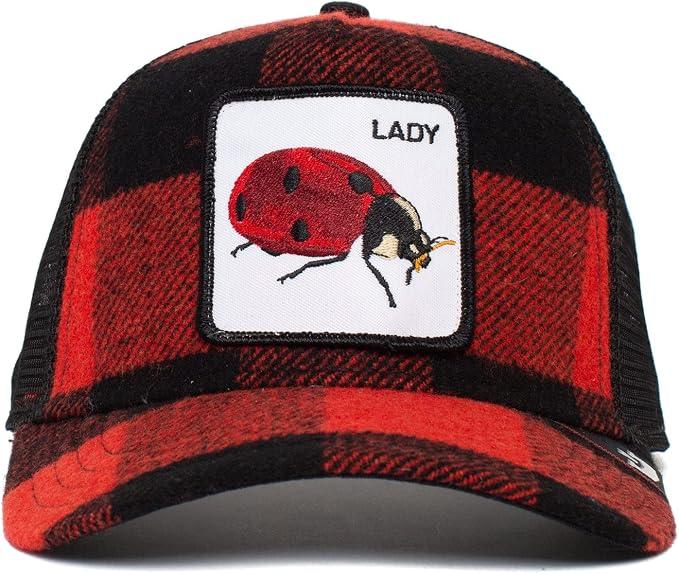 W2-0287 TRUCK Lady Bug Quadri RED