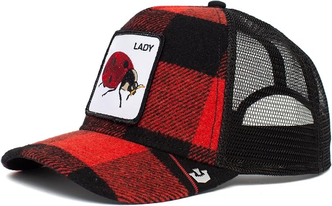 W2-0287 TRUCK Lady Bug Quadri RED