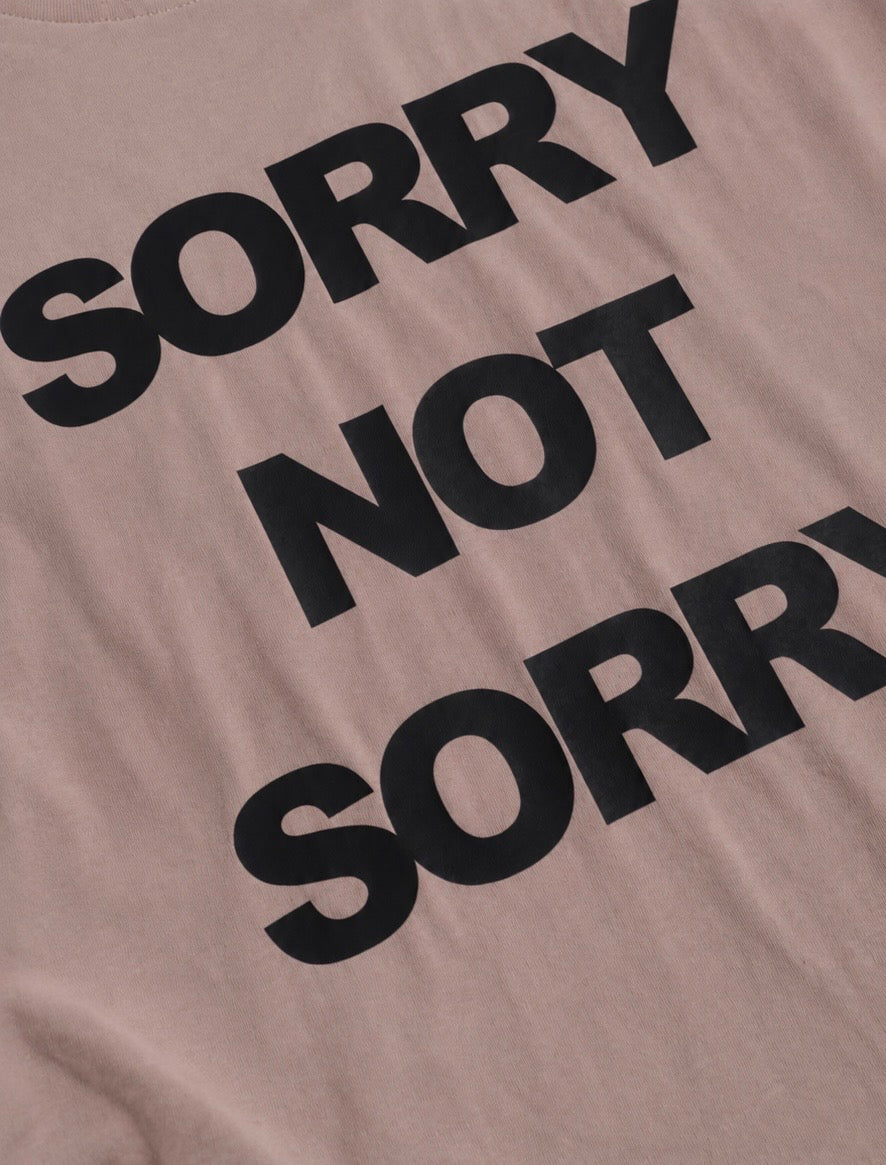 W6-CM97 BRIAR T-Shirt Taupe