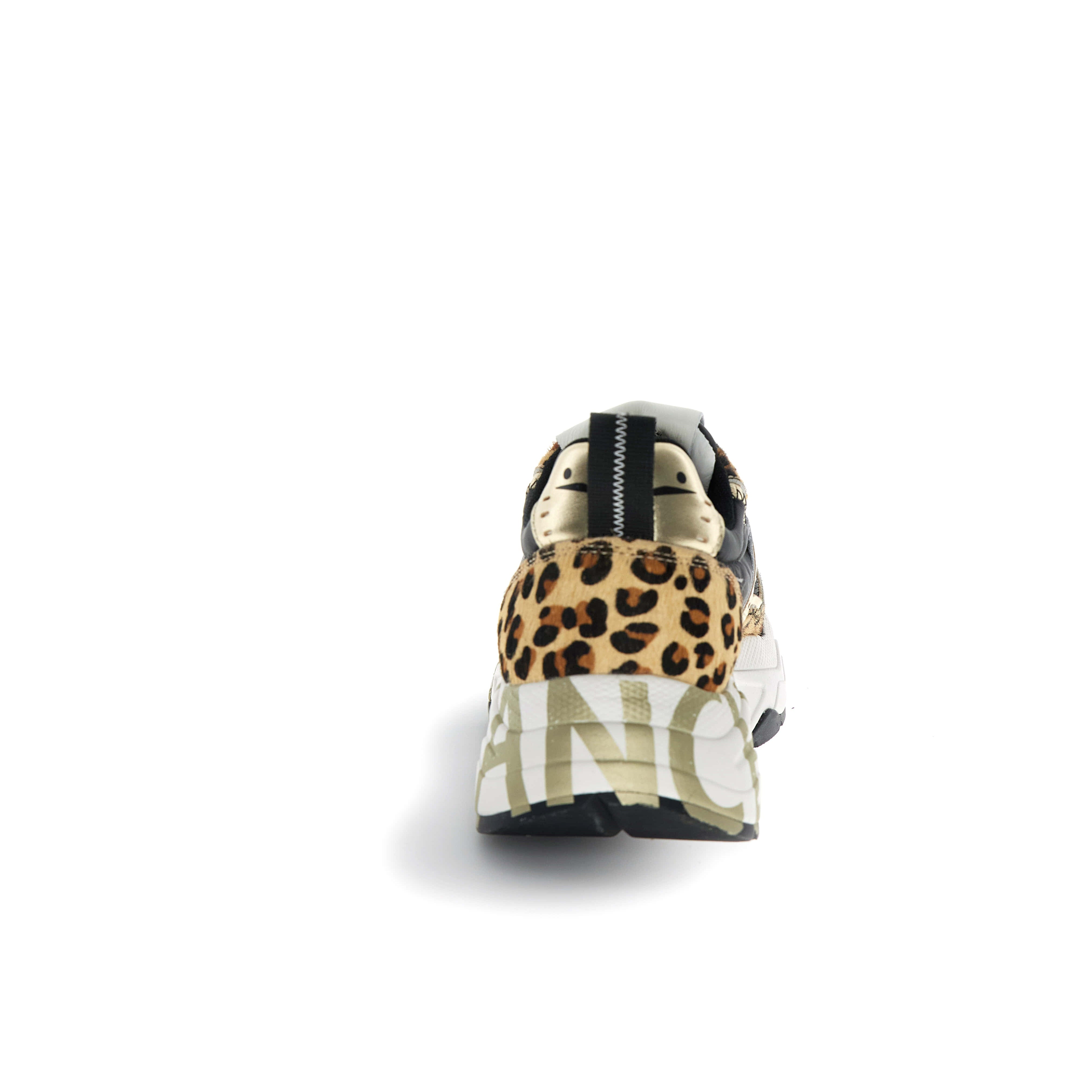 DW6-1A08 CLUB105 Leo/Black