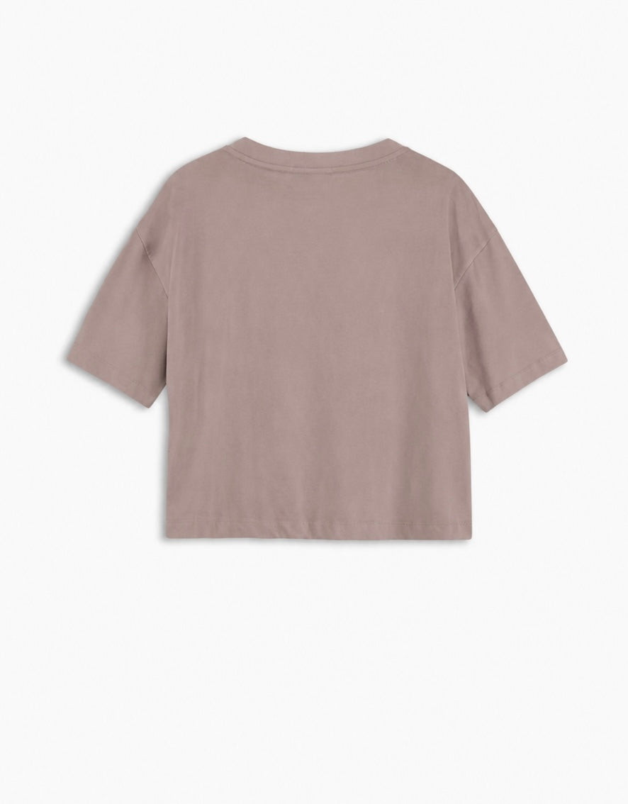 W6-CM97 BRIAR T-Shirt Taupe