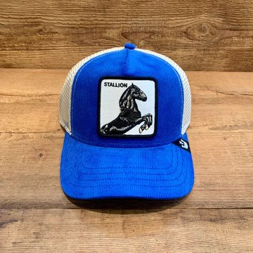 Cappello Sly Stallion Blu