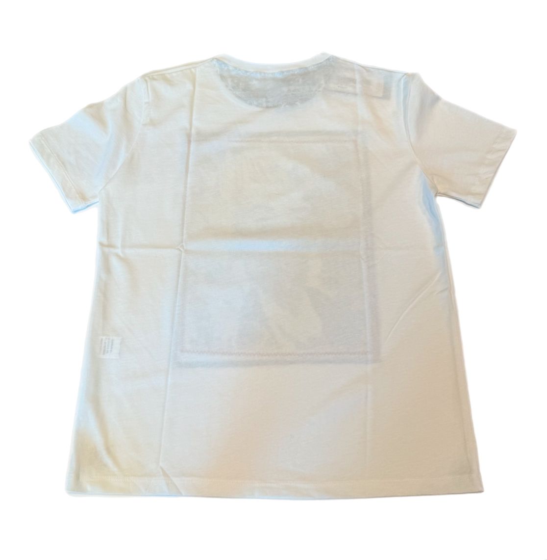 S5-ICON T-Shirt VR0343 OffWhite Man