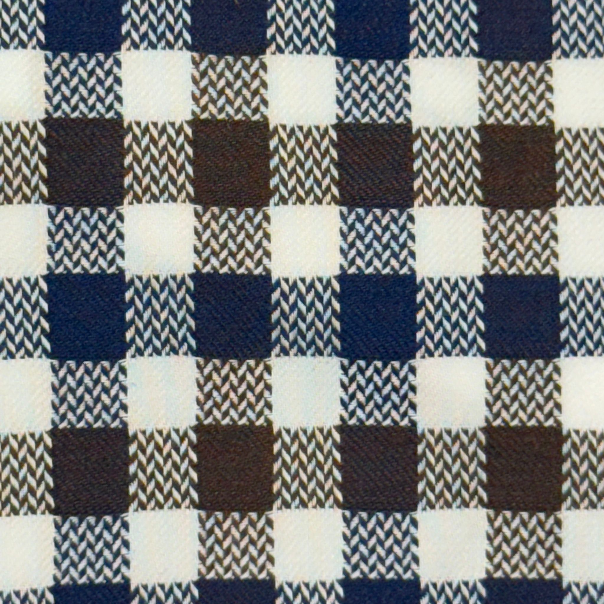 W5-UZ8CUR Camicia Regular Quadri Blu/Marrone Man