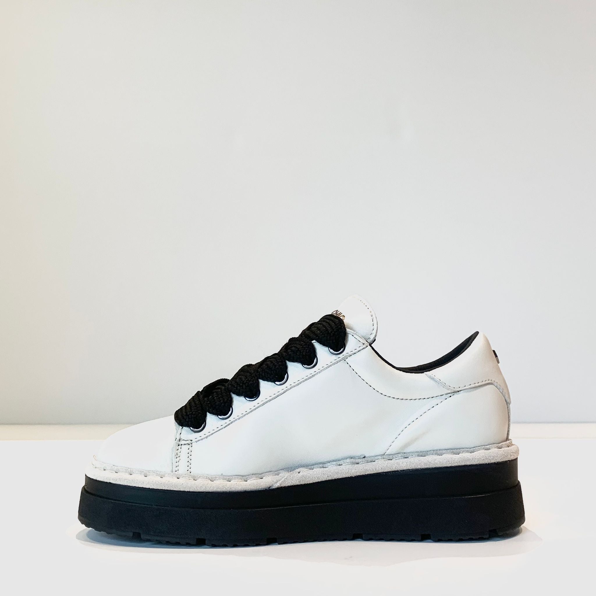 DW4-P89 Scarpa ICE Woman