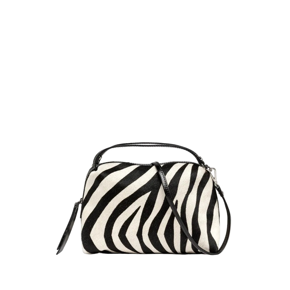W6-12498 ALIFA CAV-INT Zebra