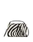 W6-12498 ALIFA CAV-INT Zebra