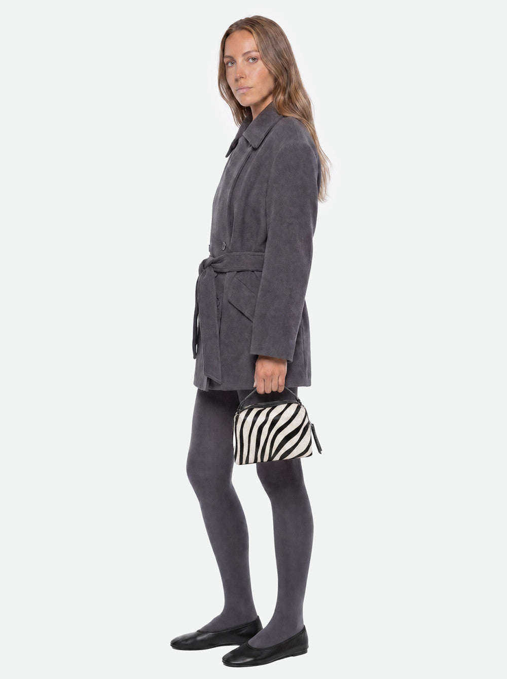 W6-12498 ALIFA CAV-INT Zebra