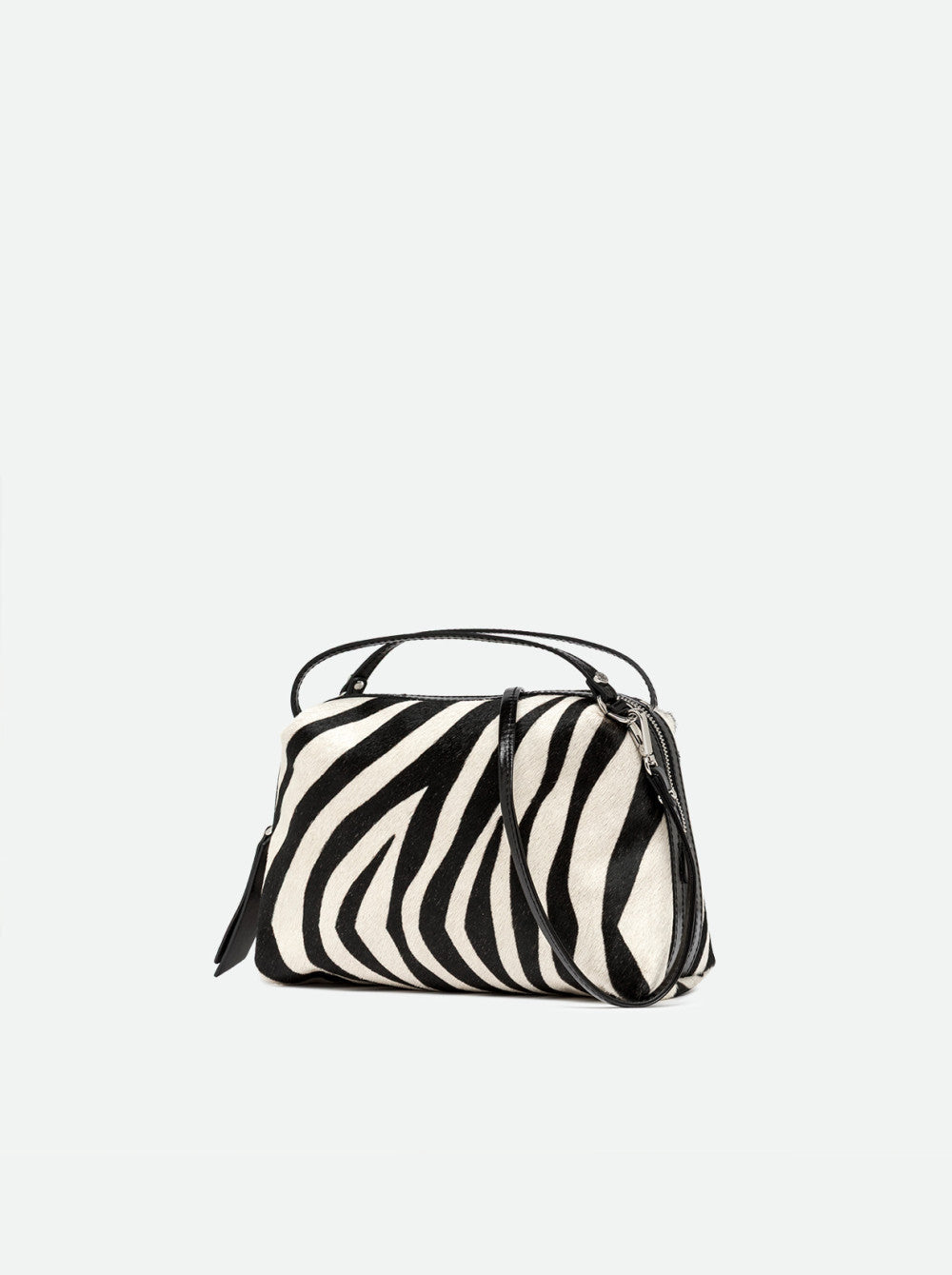 W6-12498 ALIFA CAV-INT Zebra